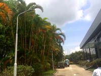 【廠區(qū)路燈改造】深圳業(yè)聚醫(yī)療器械