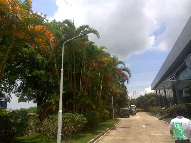 廠區(qū)路燈改造 廠區(qū)路燈改造